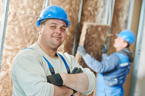 Best Spray Foam Insulation  in Lake Grove, NY